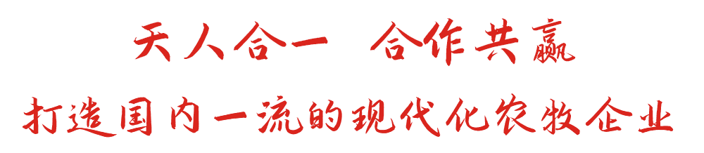 天凯时kb88国际官网首页,kb88凯时官方网站,k8凯时·国际官方网站一 合作共赢